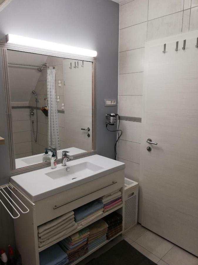 Studio Apartman Zagreb Horvati Rakov Potok 外观 照片
